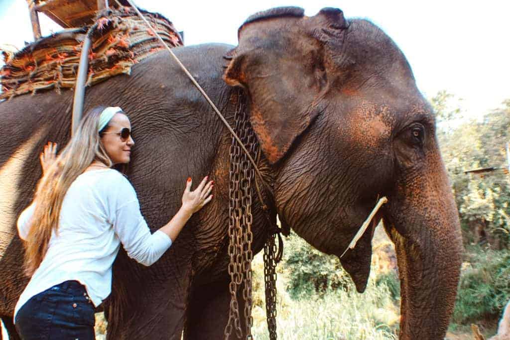 Ethical tourism do not abuse animals