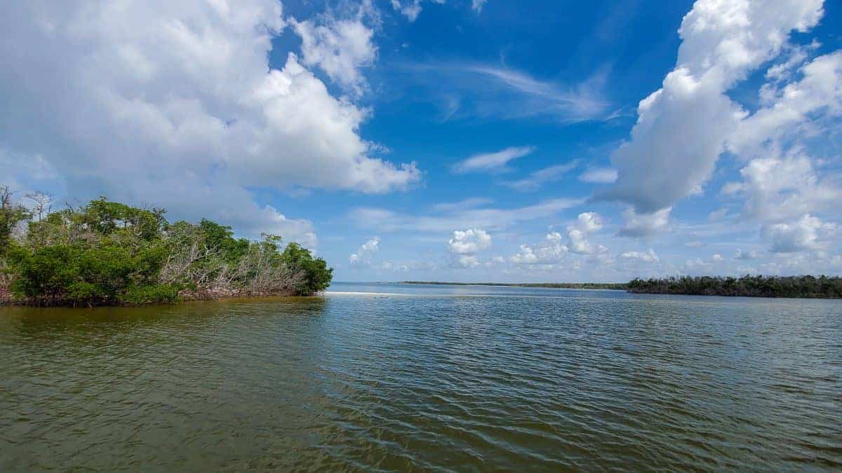 Florida Ten Thousand Islands Ultimate Guide on how to explore (+Resources to Plan & Book
