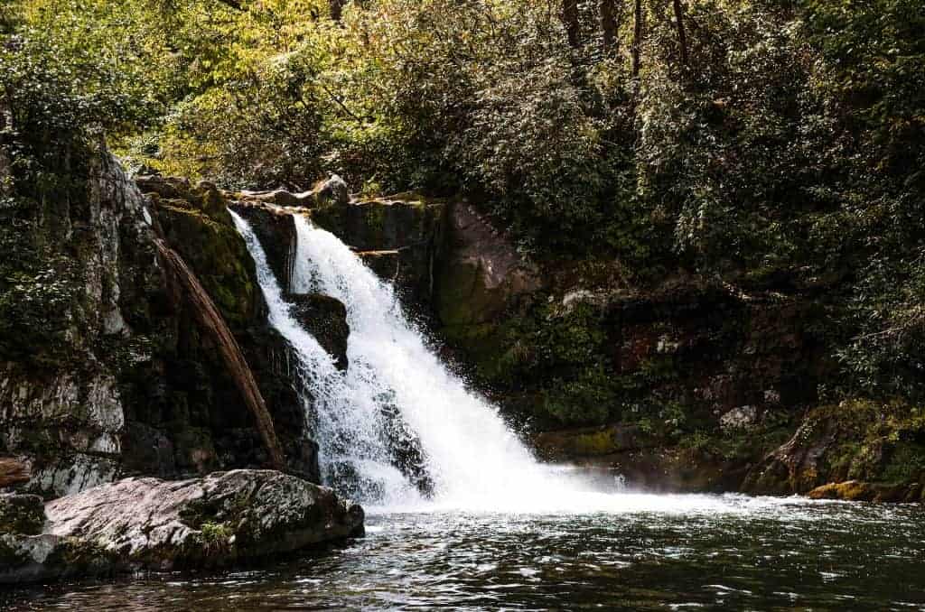 Laurel Falls