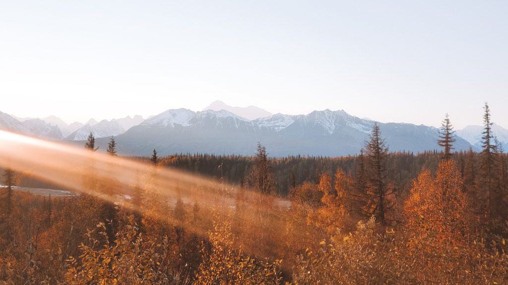 how to visit Denali National Park 