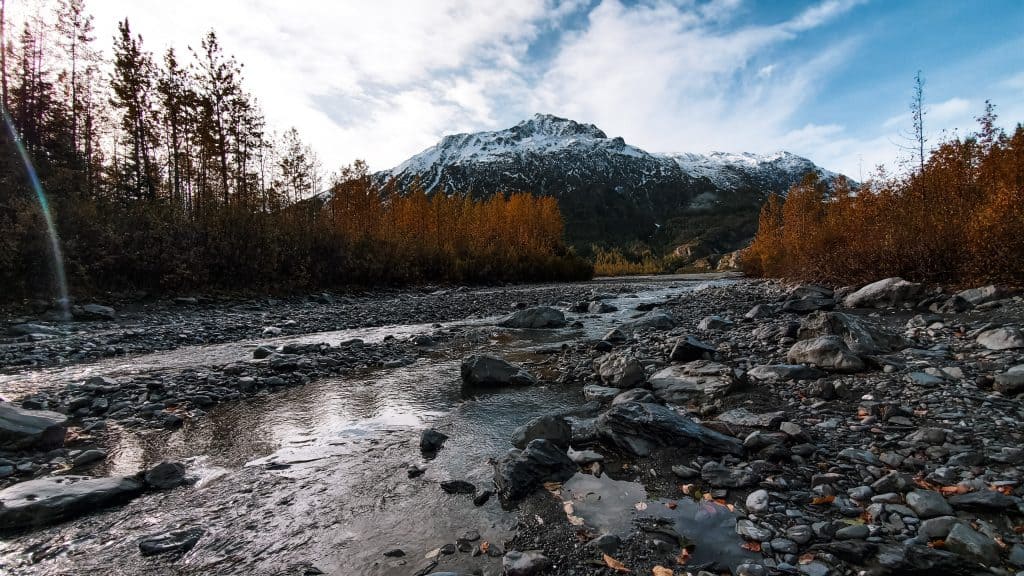 Exit Glacier Hike