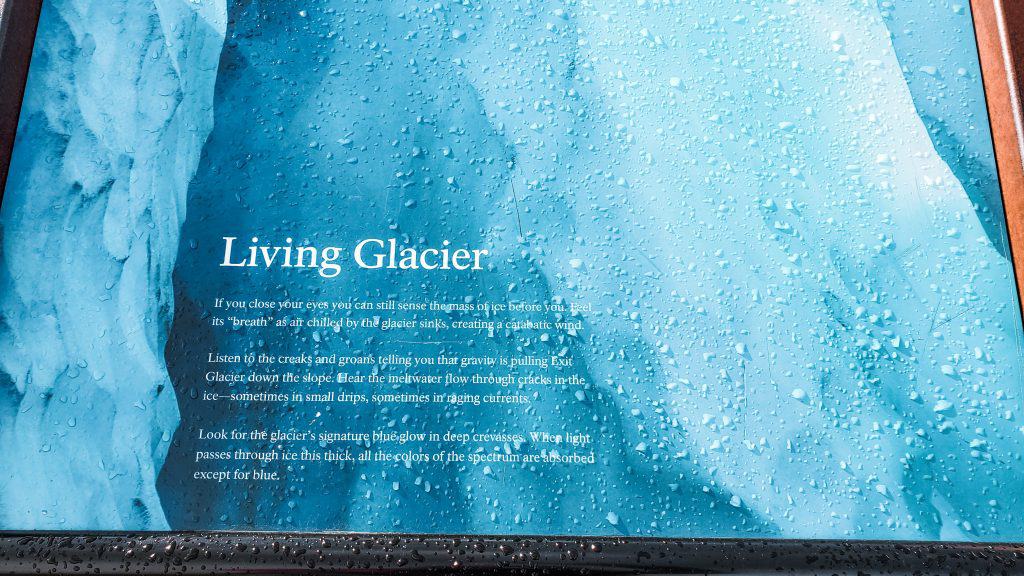 The Ultimate guide for the Exit Glacier Hike plus all the tips for your visit to one of the most beautiful places in Alaska