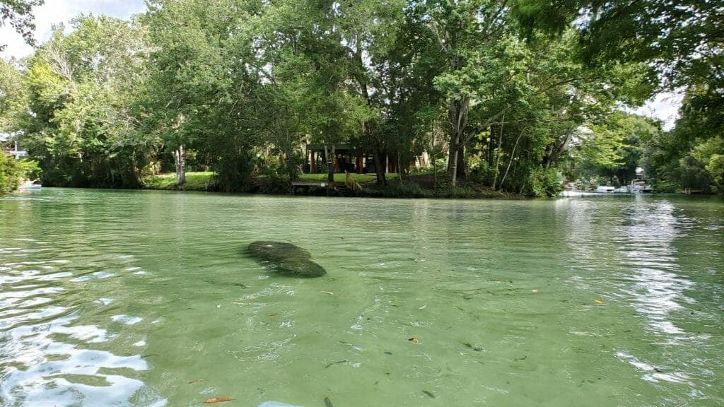 the best kayaking in FL