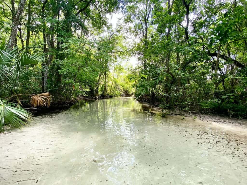 best kayaking in Florida