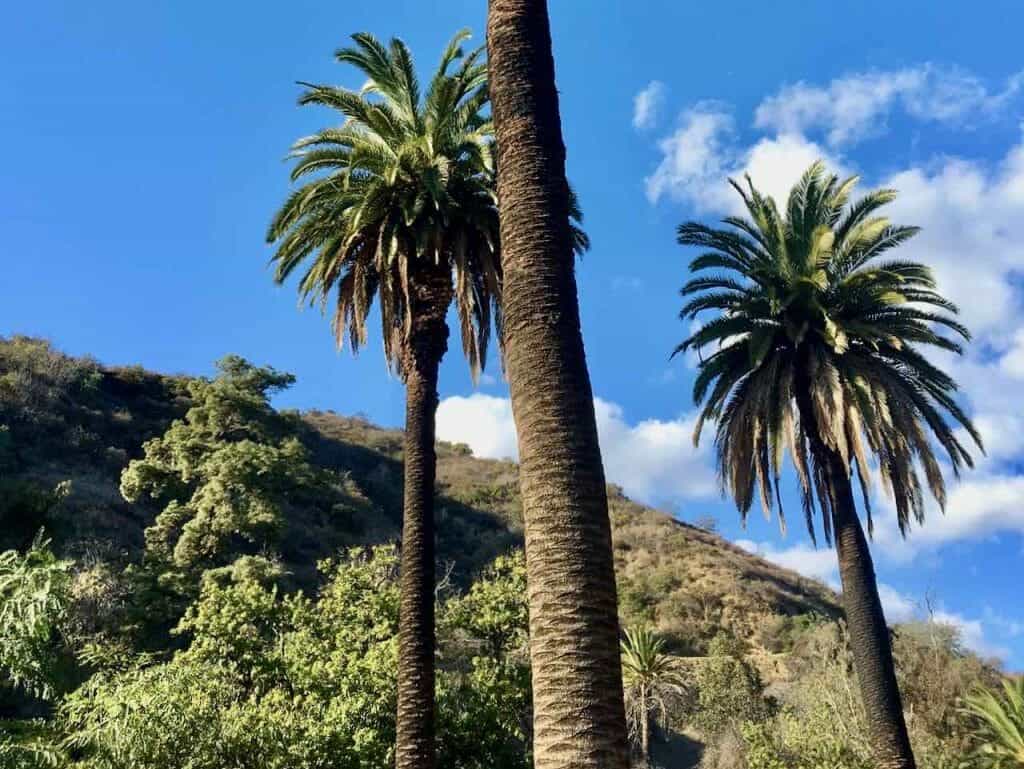 places to visit in Los Angeles