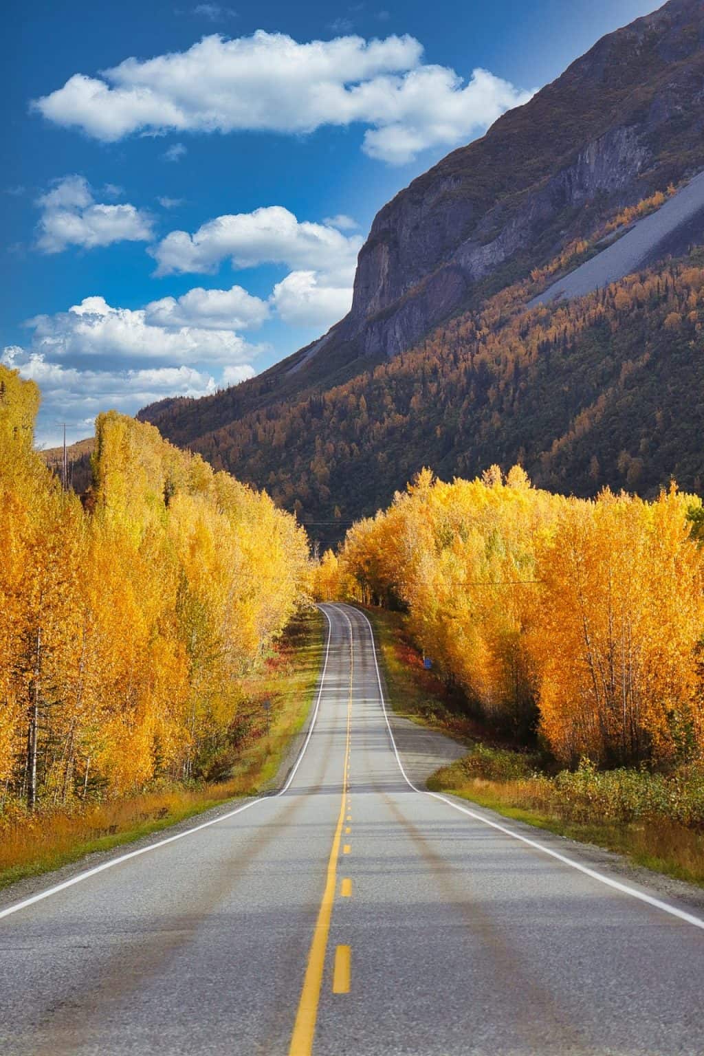 21-fun-interesting-facts-about-alaska-that-you-would-love-to-know