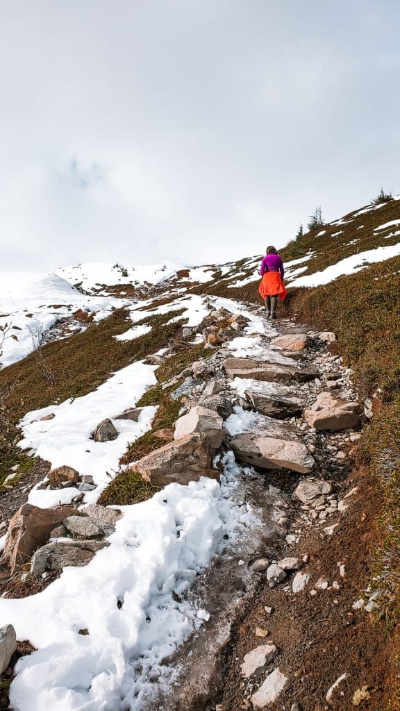 Harding Icefield Hike