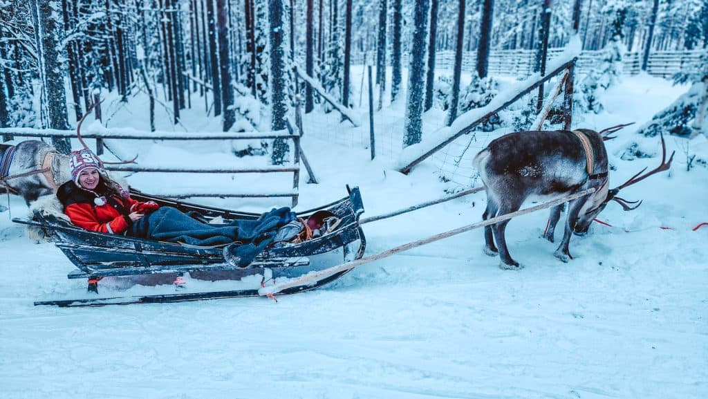 reindeer farm in Lapland