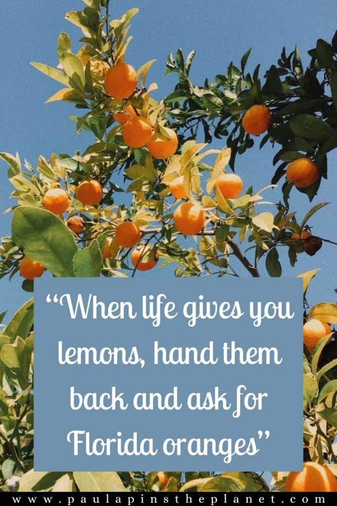 Florida quotes