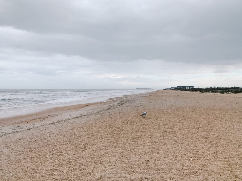 Top East Coast Beach in the state of Florida